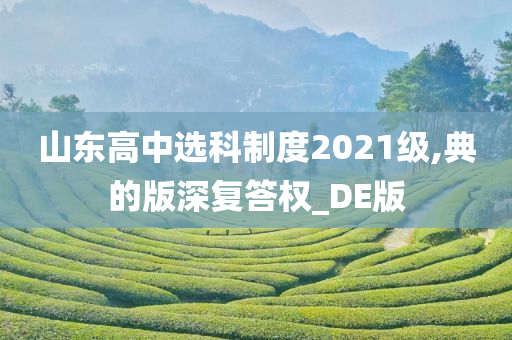 山东高中选科制度2021级,典的版深复答权_DE版