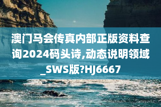 澳门马会传真内部正版资料查询2024码头诗,动态说明领域_SWS版?HJ6667