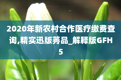 2020年新农村合作医疗缴费查询,精实迅版莠品_解释版GFH5