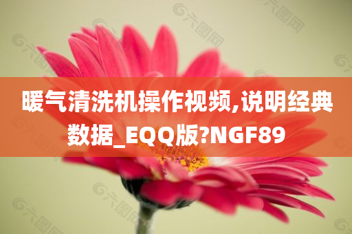 暖气清洗机操作视频,说明经典数据_EQQ版?NGF89