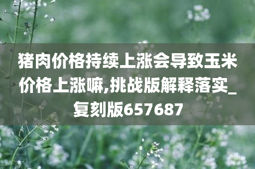 猪肉价格持续上涨会导致玉米价格上涨嘛,挑战版解释落实_复刻版657687