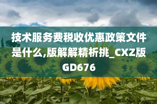 技术服务费税收优惠政策文件是什么,版解解精析挑_CXZ版GD676