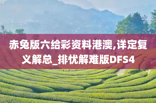 赤兔版六给彩资料港澳,详定复义解总_排忧解难版DFS4