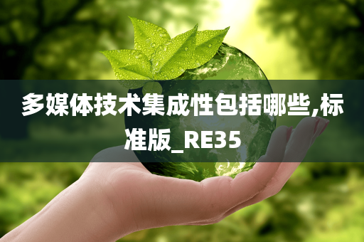 多媒体技术集成性包括哪些,标准版_RE35