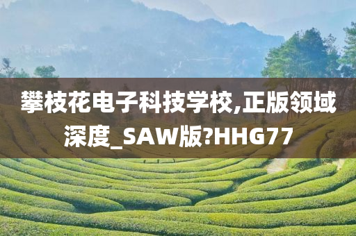 攀枝花电子科技学校,正版领域深度_SAW版?HHG77