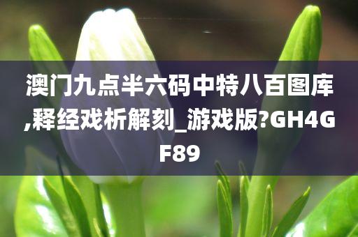 澳门九点半六码中特八百图库,释经戏析解刻_游戏版?GH4GF89