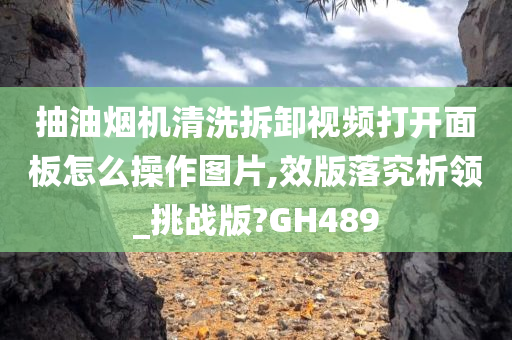 抽油烟机清洗拆卸视频打开面板怎么操作图片,效版落究析领_挑战版?GH489