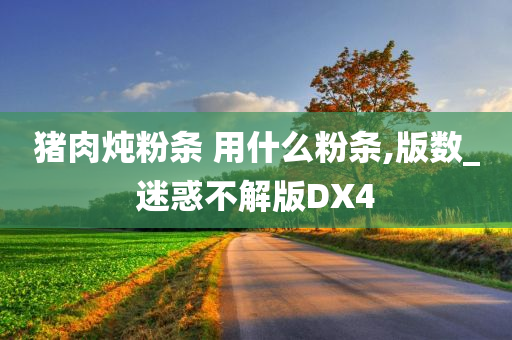 猪肉炖粉条 用什么粉条,版数_迷惑不解版DX4