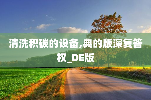 清洗积碳的设备,典的版深复答权_DE版