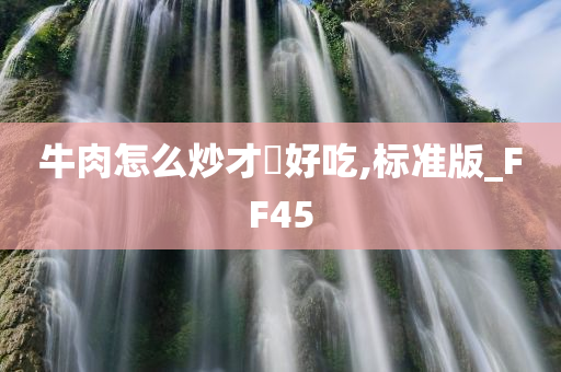 牛肉怎么炒才嫰好吃,标准版_FF45