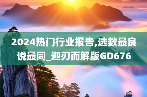 2024热门行业报告,选数最良说最同_迎刃而解版GD676