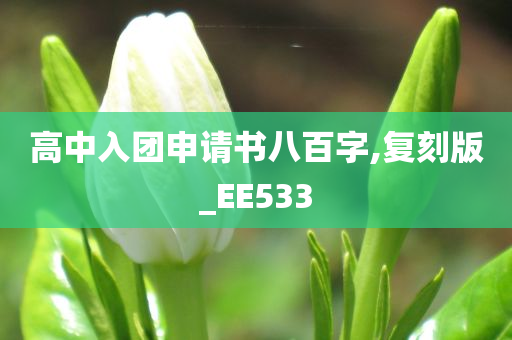 高中入团申请书八百字,复刻版_EE533