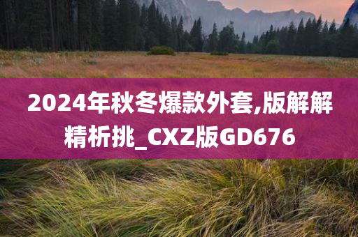 2024年秋冬爆款外套,版解解精析挑_CXZ版GD676