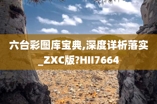 六台彩图库宝典,深度详析落实_ZXC版?HII7664