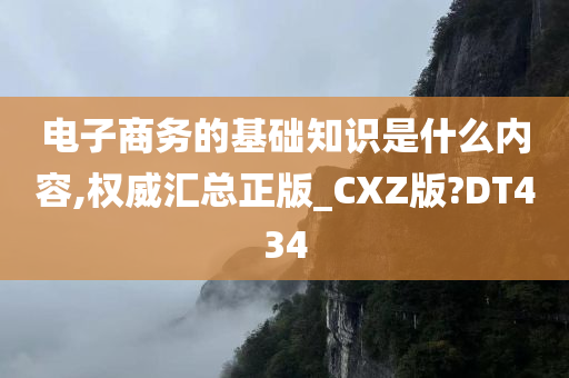 电子商务的基础知识是什么内容,权威汇总正版_CXZ版?DT434