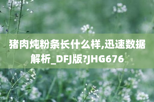 猪肉炖粉条长什么样,迅速数据解析_DFJ版?JHG676