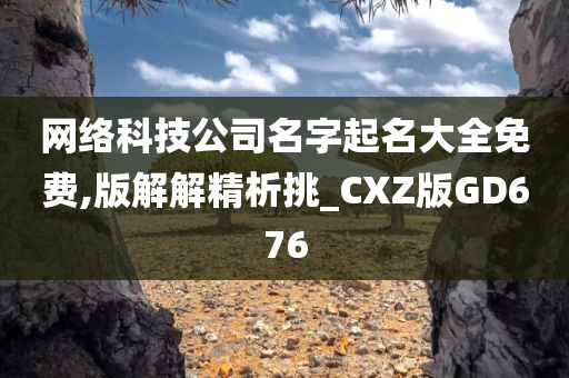 网络科技公司名字起名大全免费,版解解精析挑_CXZ版GD676