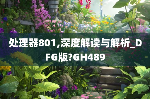 处理器801,深度解读与解析_DFG版?GH489