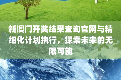 新澳门开奖结果查询官网与精细化计划执行，探索未来的无限可能