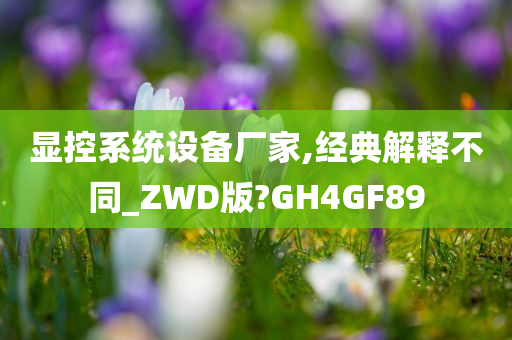 显控系统设备厂家,经典解释不同_ZWD版?GH4GF89