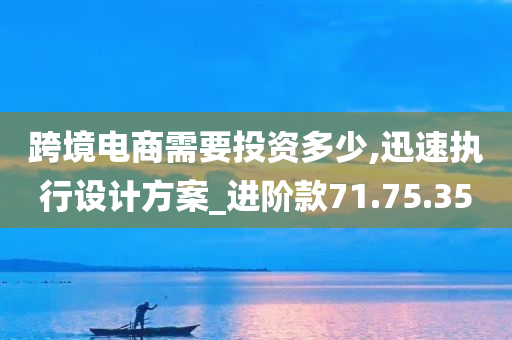 跨境电商需要投资多少,迅速执行设计方案_进阶款71.75.35