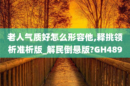 老人气质好怎么形容他,释挑领析准析版_解民倒悬版?GH489