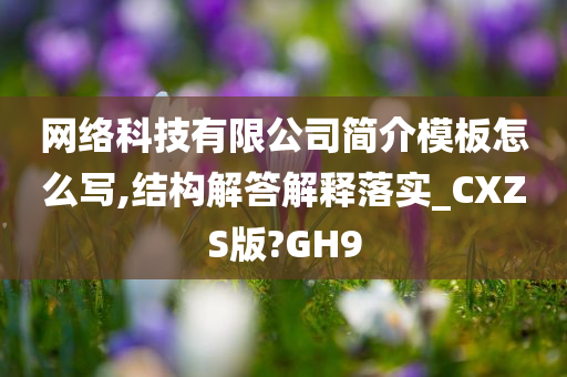 网络科技有限公司简介模板怎么写,结构解答解释落实_CXZS版?GH9