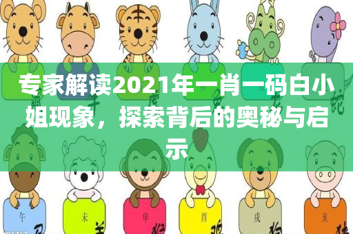 专家解读2021年一肖一码白小姐现象，探索背后的奥秘与启示