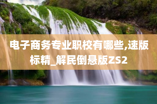 电子商务专业职校有哪些,速版标精_解民倒悬版ZS2