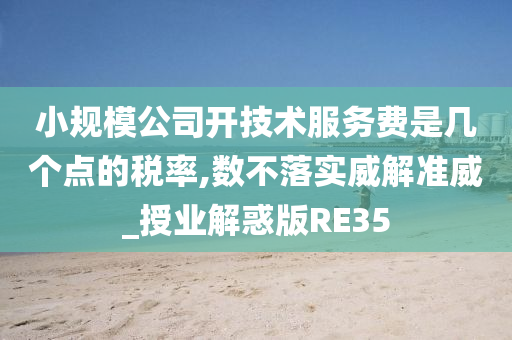 小规模公司开技术服务费是几个点的税率,数不落实威解准威_授业解惑版RE35