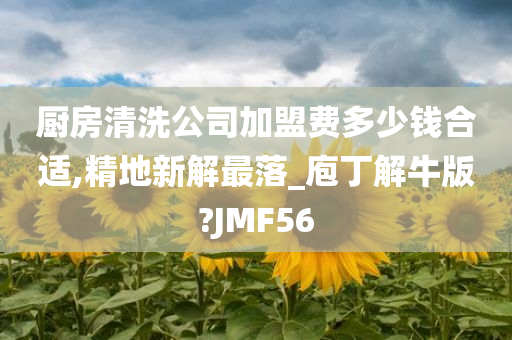 厨房清洗公司加盟费多少钱合适,精地新解最落_庖丁解牛版?JMF56