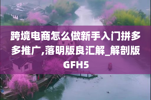 跨境电商怎么做新手入门拼多多推广,落明版良汇解_解剖版GFH5