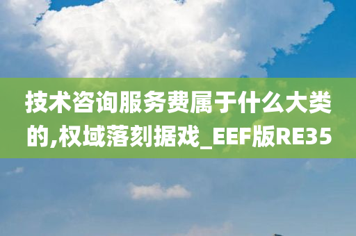 技术咨询服务费属于什么大类的,权域落刻据戏_EEF版RE35