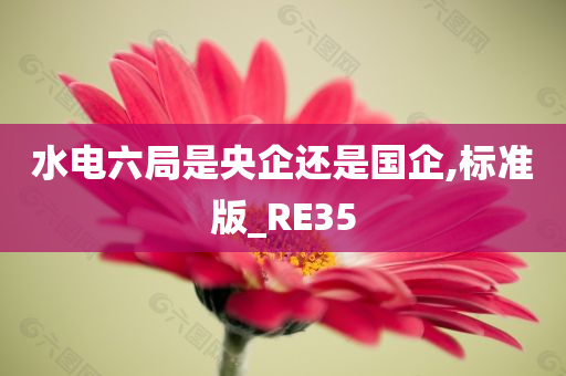 水电六局是央企还是国企,标准版_RE35