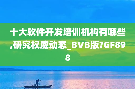 十大软件开发培训机构有哪些,研究权威动态_BVB版?GF898