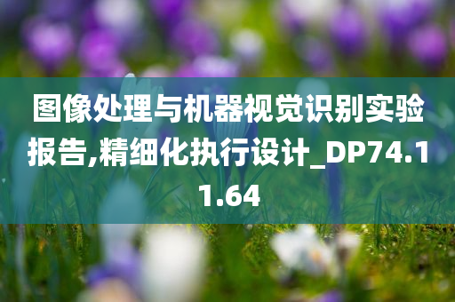 图像处理与机器视觉识别实验报告,精细化执行设计_DP74.11.64