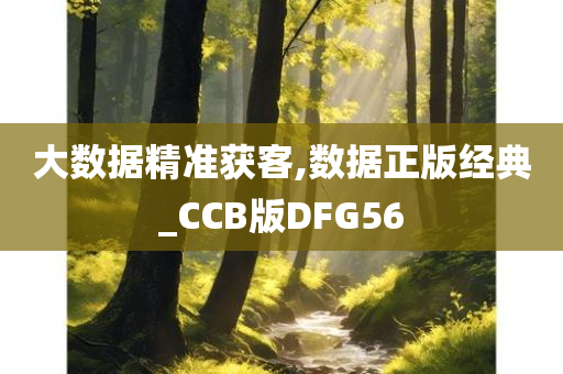 大数据精准获客,数据正版经典_CCB版DFG56