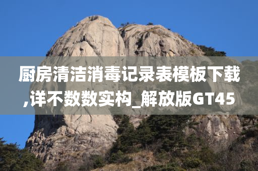 厨房清洁消毒记录表模板下载,详不数数实构_解放版GT45