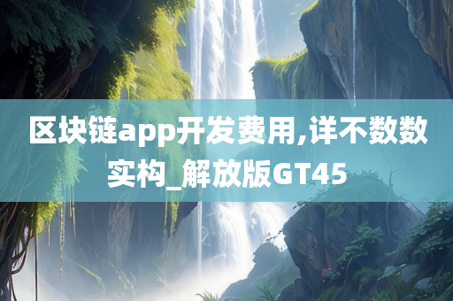 区块链app开发费用,详不数数实构_解放版GT45