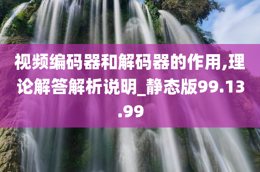 视频编码器和解码器的作用,理论解答解析说明_静态版99.13.99