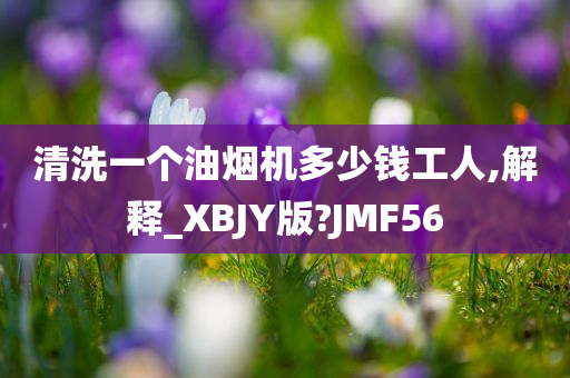 清洗一个油烟机多少钱工人,解释_XBJY版?JMF56