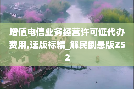 增值电信业务经营许可证代办费用,速版标精_解民倒悬版ZS2