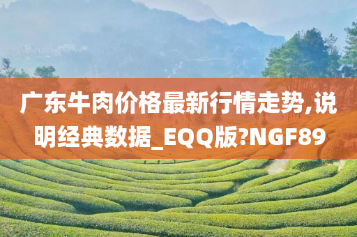 广东牛肉价格最新行情走势,说明经典数据_EQQ版?NGF89