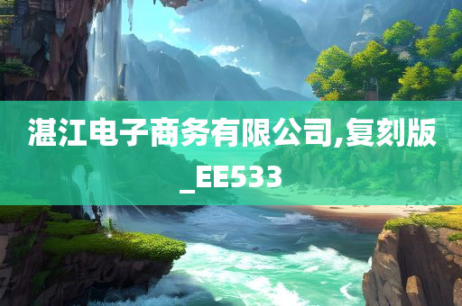 湛江电子商务有限公司,复刻版_EE533