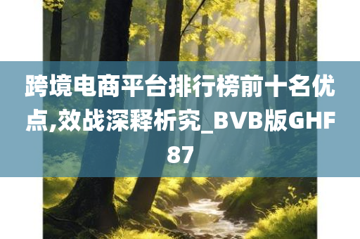 跨境电商平台排行榜前十名优点,效战深释析究_BVB版GHF87