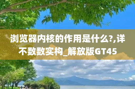 浏览器内核的作用是什么?,详不数数实构_解放版GT45