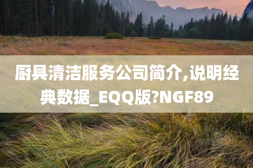 厨具清洁服务公司简介,说明经典数据_EQQ版?NGF89