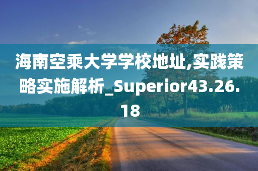 海南空乘大学学校地址,实践策略实施解析_Superior43.26.18