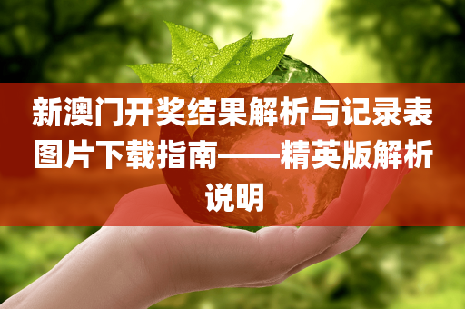 新澳门开奖结果解析与记录表图片下载指南——精英版解析说明