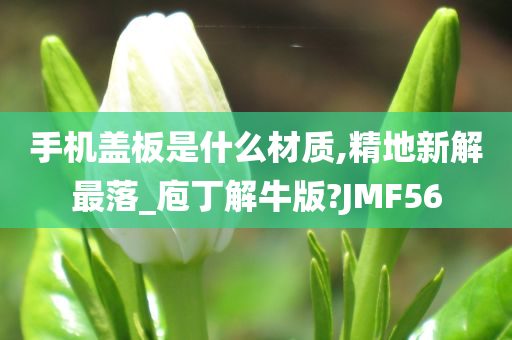 手机盖板是什么材质,精地新解最落_庖丁解牛版?JMF56